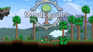 Photo of 3 formas de arreglar el navegador mod tModLoader que no funciona
