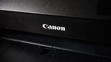 Photo of 5 formas de arreglar la impresora Canon no escanea en Windows 10/11