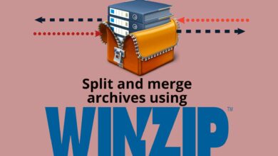 Photo of El archivo Zip de Dropbox es demasiado grande para descargarlo