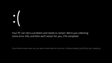 Photo of La excepción del subproceso del sistema no se maneja en Windows 11 [Fix]