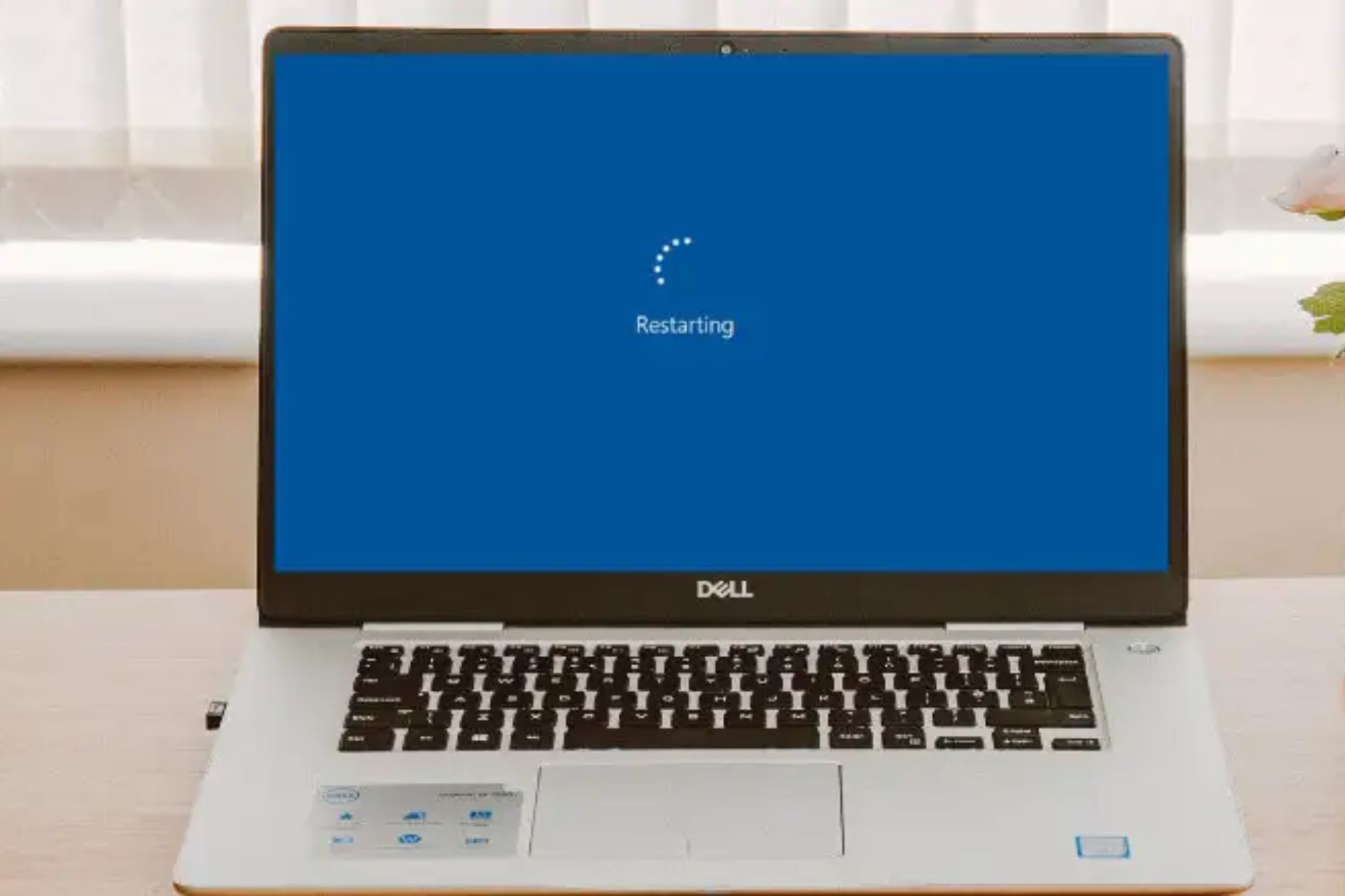 Laptop Dell atascada al reiniciar