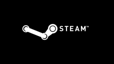 Photo of Steam no pudo cargar la transmisión [ULTIMATE FIX]