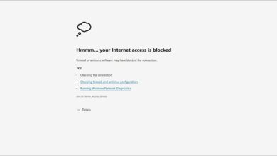 Photo of Su acceso a Internet está bloqueado en Windows 11