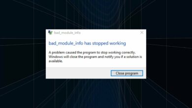 Photo of 6 consejos para corregir el error bad_module_info dejó de funcionar