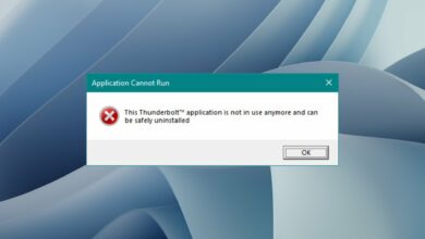 Photo of 5 formas de corregir el error de la aplicación Thunderbolt que ya no se usa