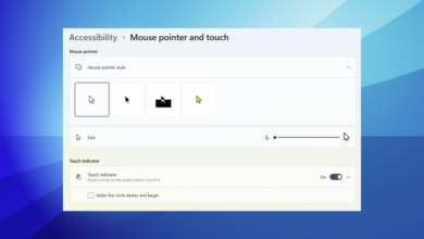 Photo of 3 formas de ocultar el cursor del mouse en aplicaciones y juegos de Windows 11