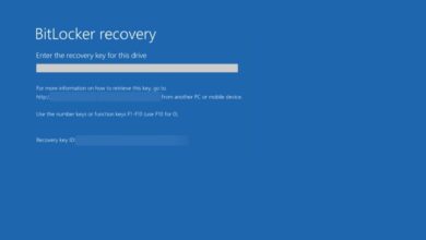 Photo of Bitlocker sigue pidiendo la clave de recuperación en Windows 11 [Fix]