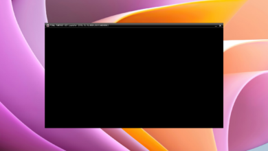 Photo of https://windowsreport.com/ffxiv-black-screen-launcher/